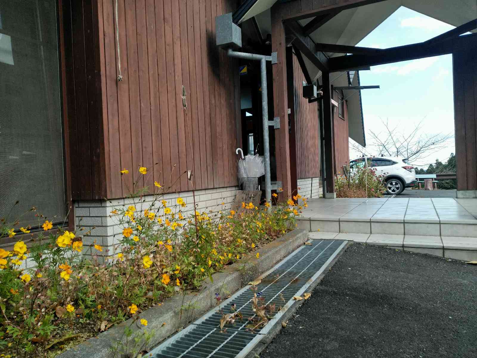 投稿された画像