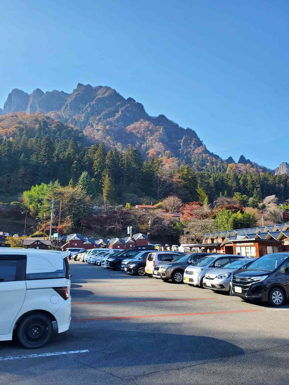 投稿された画像