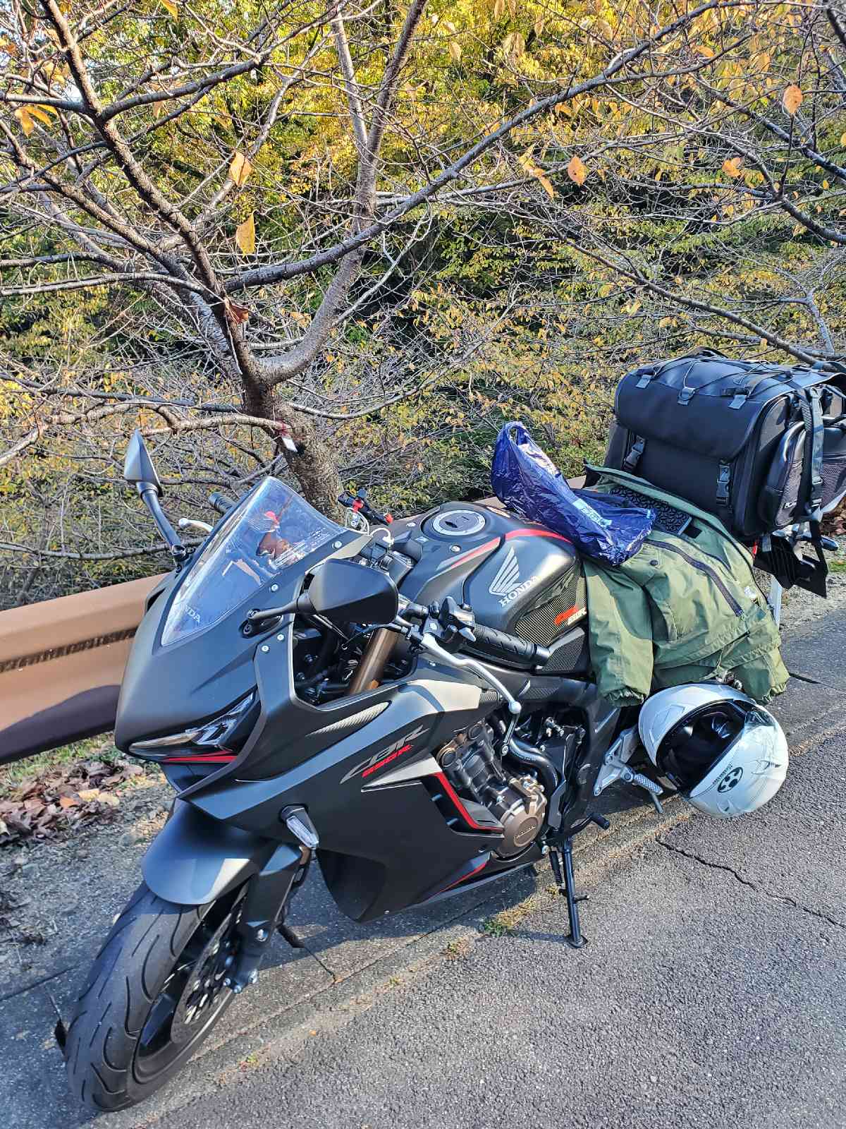 投稿された画像