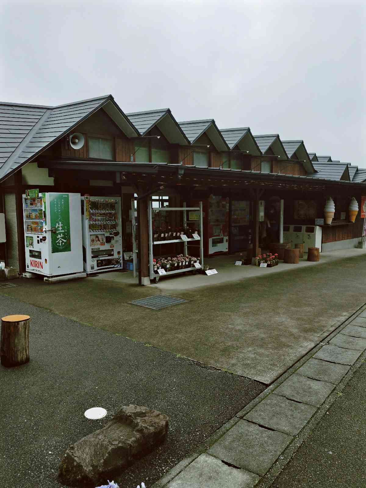 投稿された画像