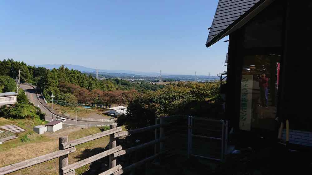 投稿された画像