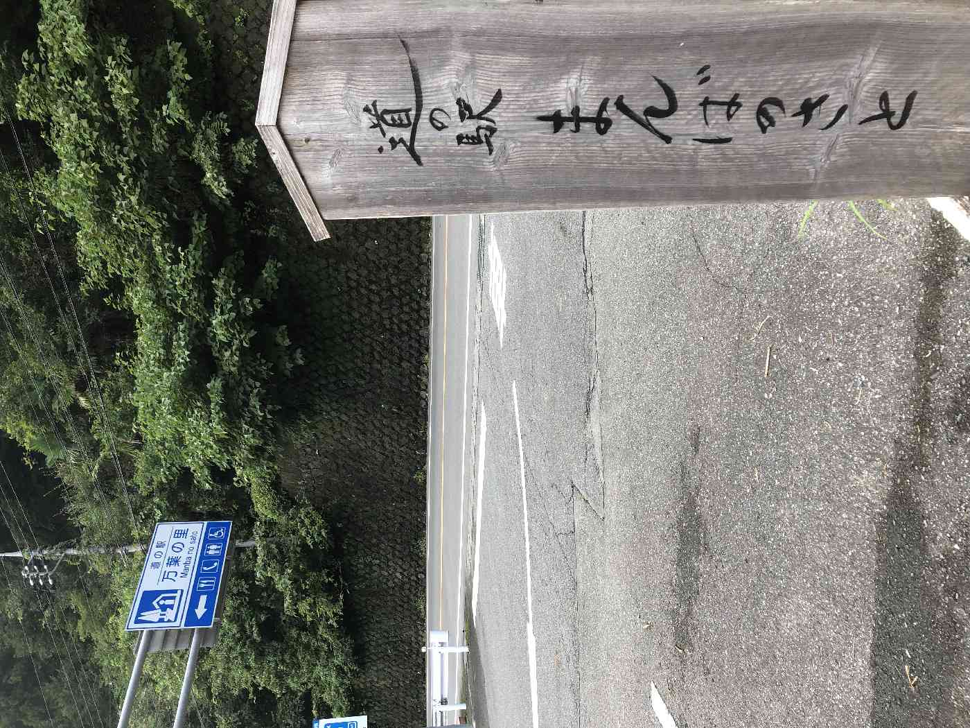 投稿された画像