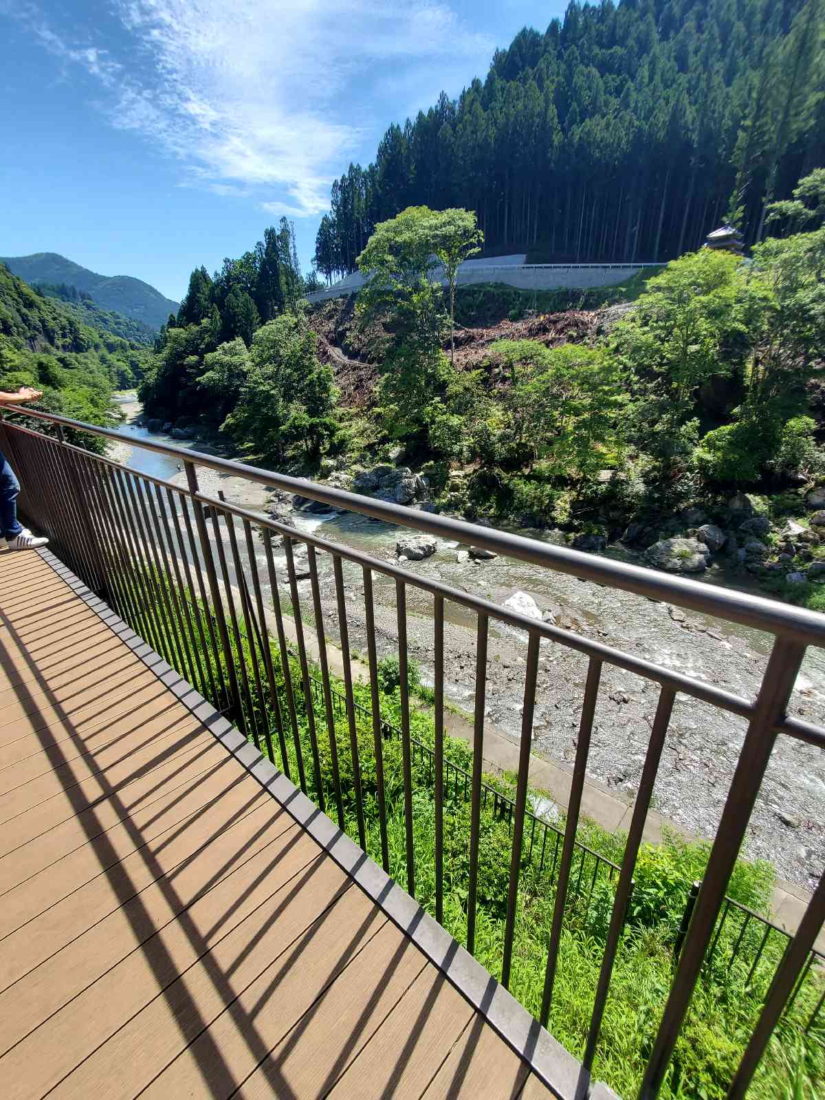 投稿された画像