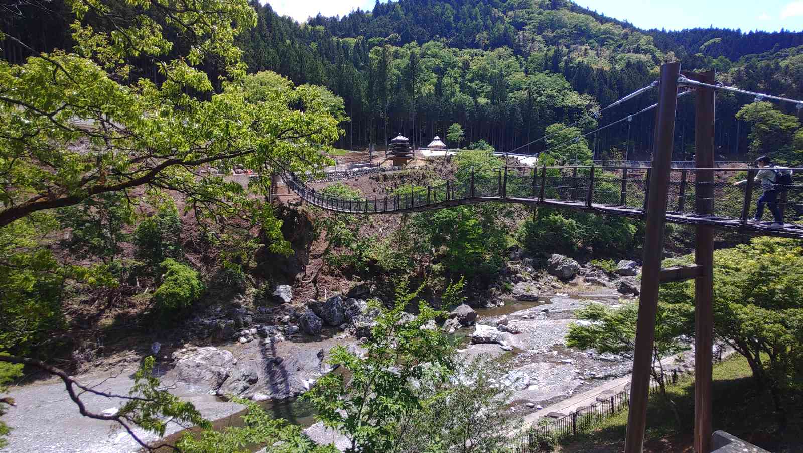 投稿された画像