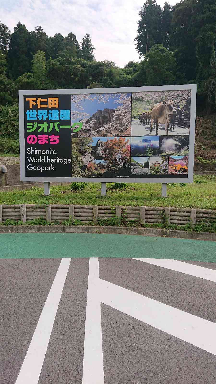 投稿された画像