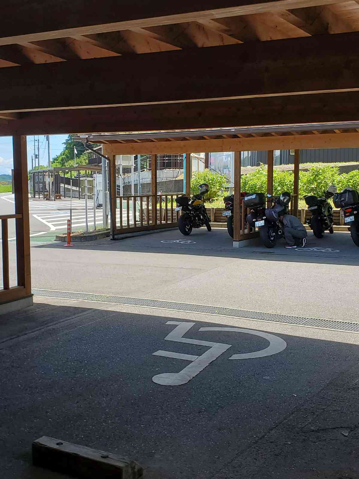投稿された画像