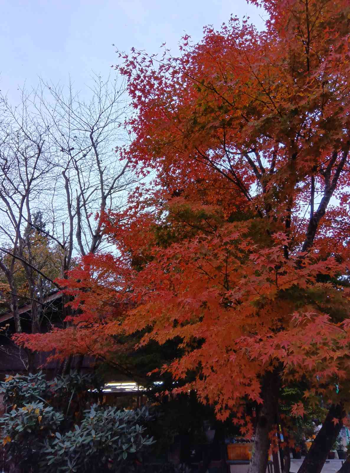 道の駅 富弘美術館の写真