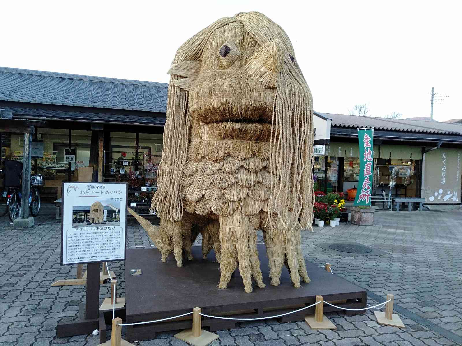 投稿された画像