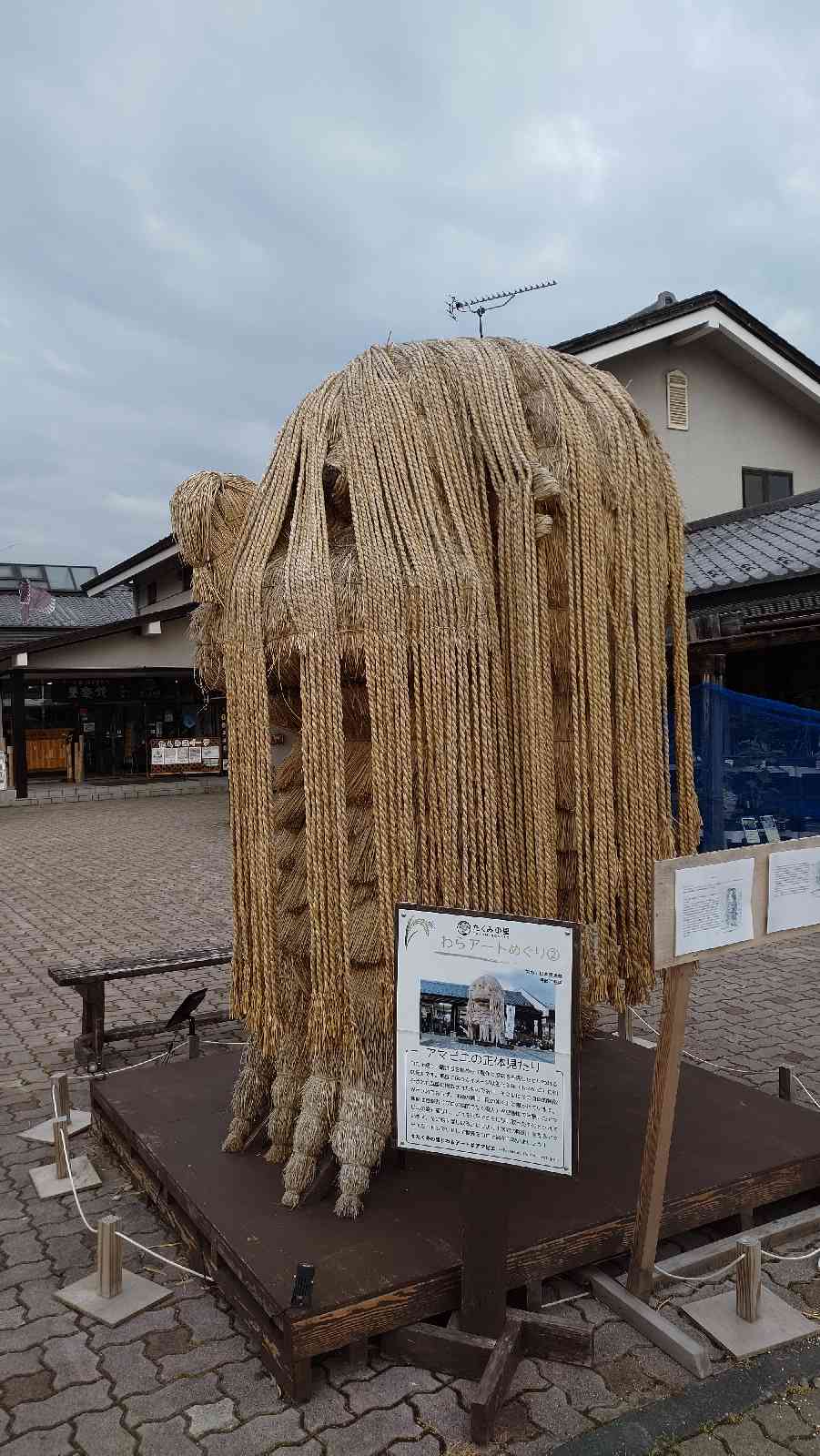 投稿された画像