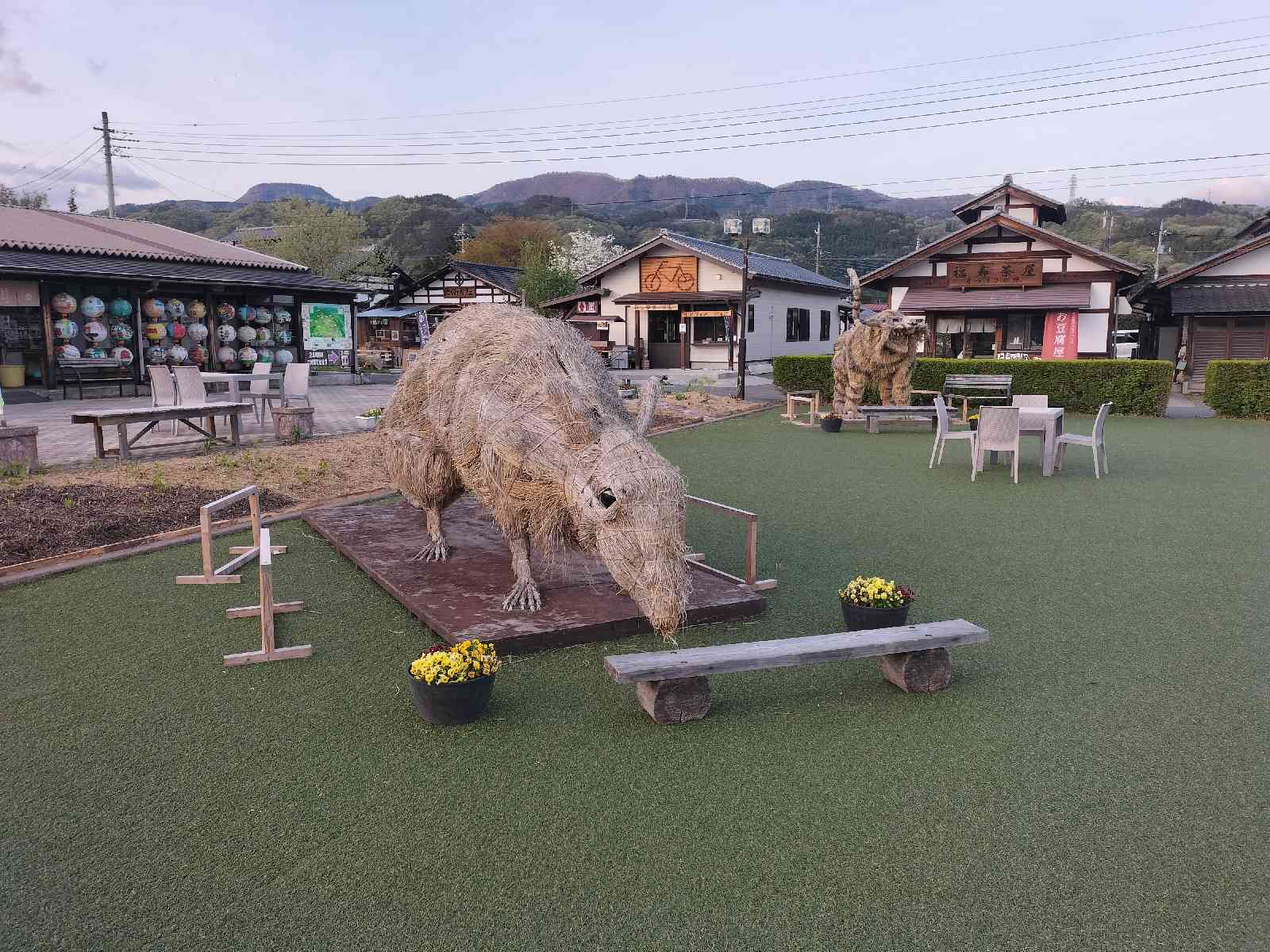 投稿された画像