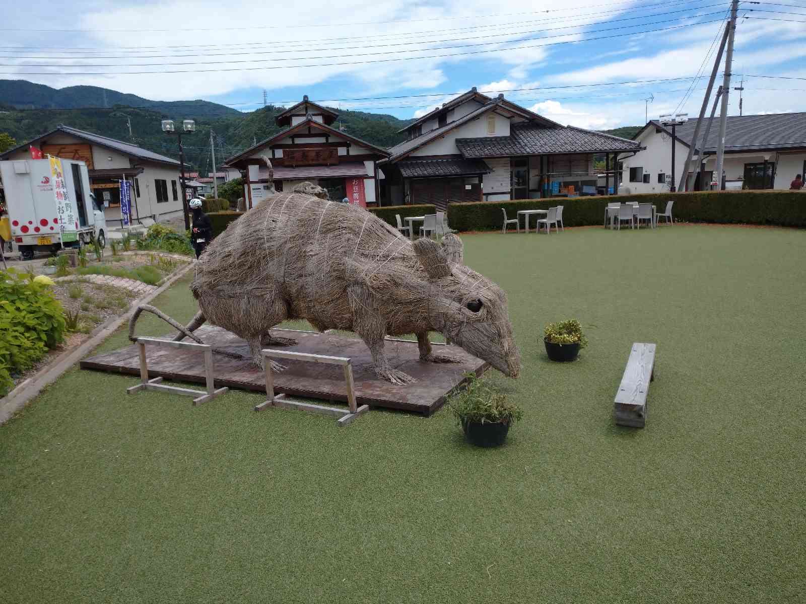 投稿された画像
