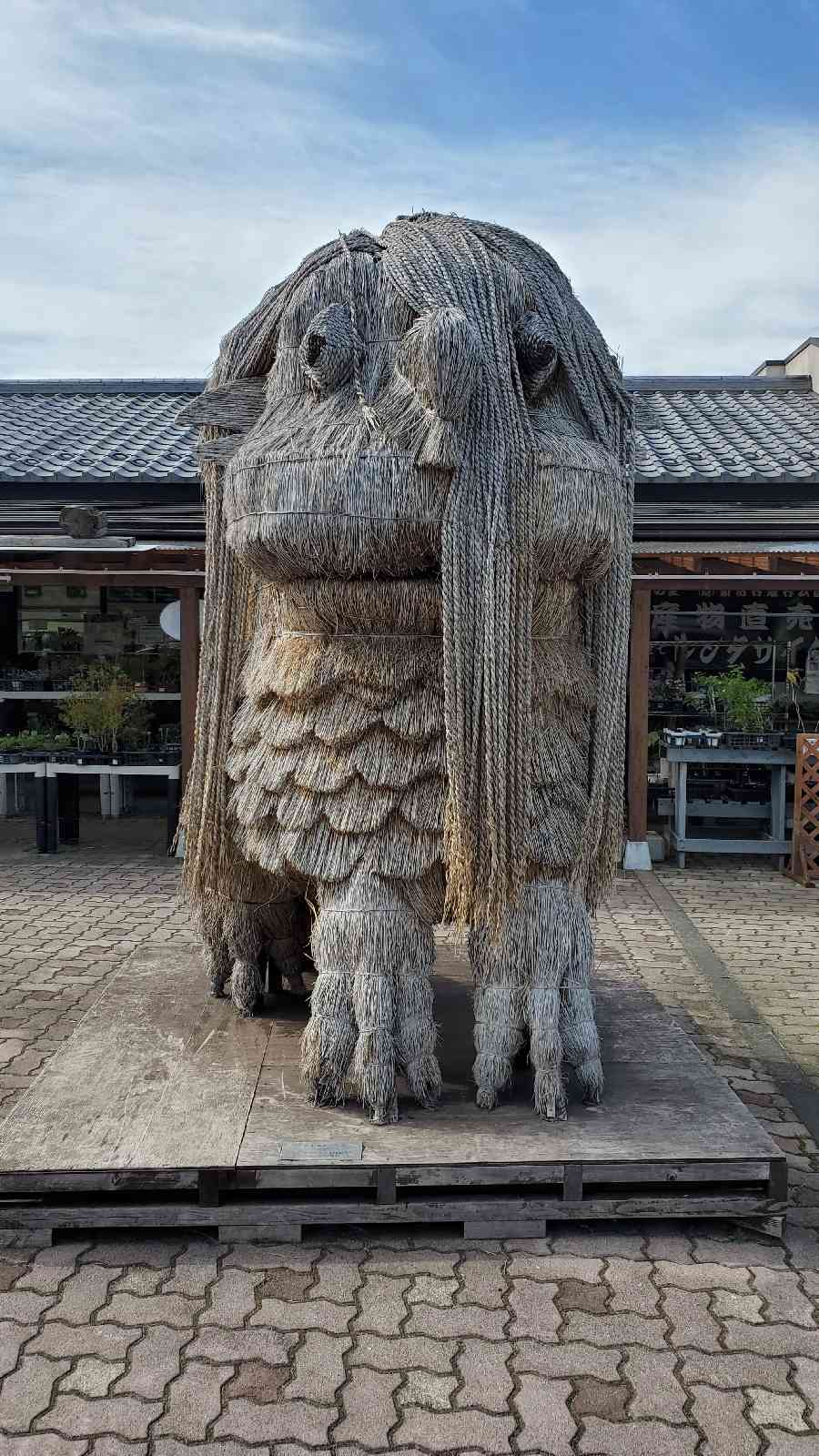 投稿された画像