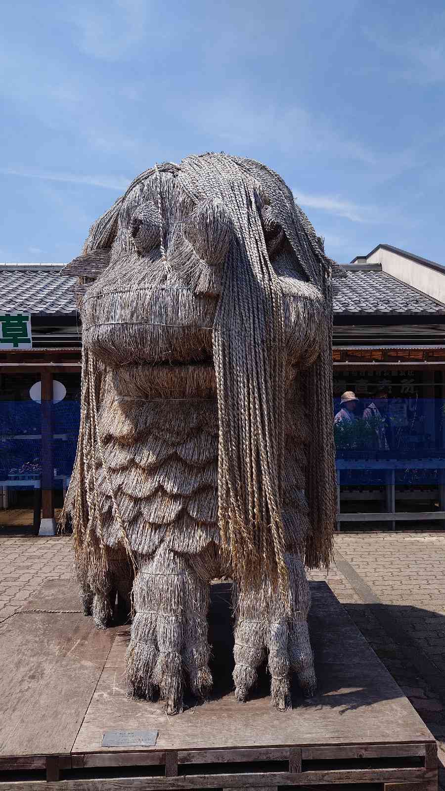 投稿された画像