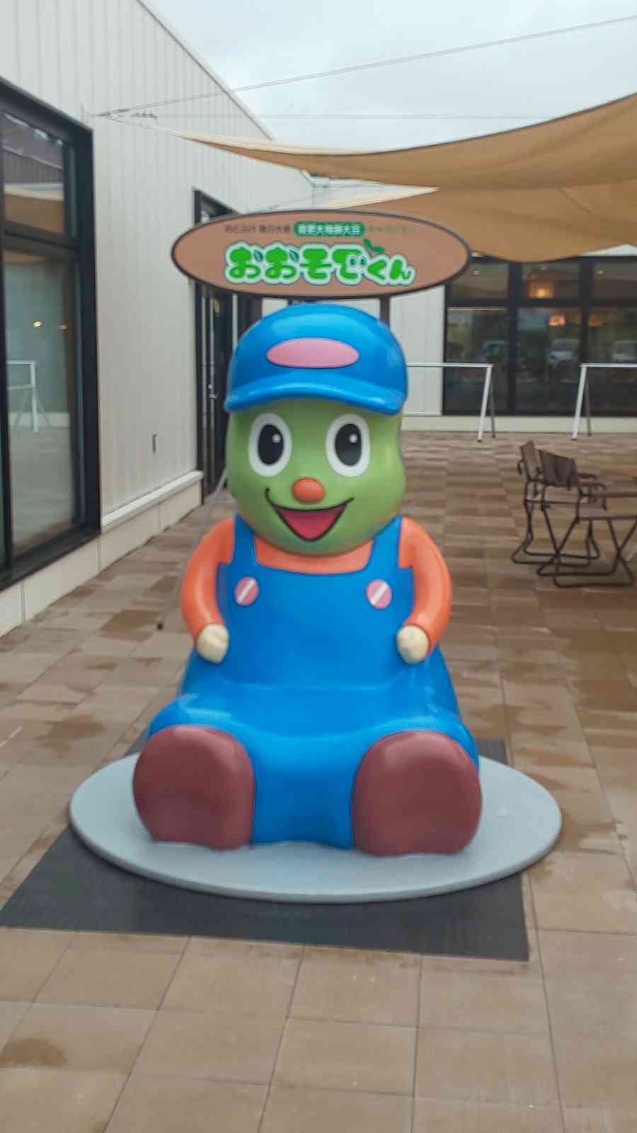 投稿された画像