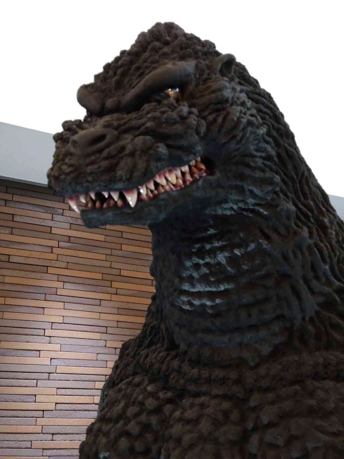 投稿された画像