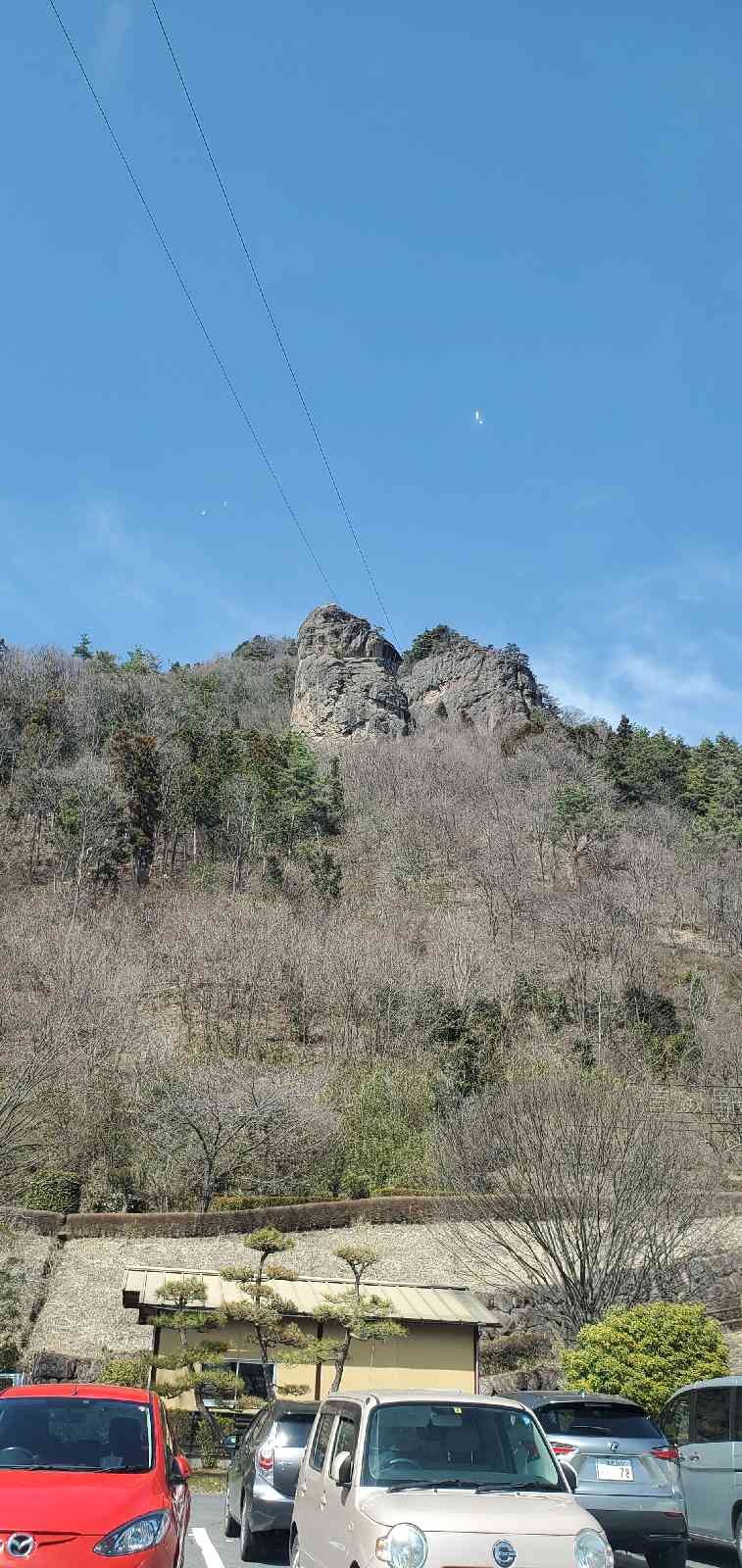 投稿された画像