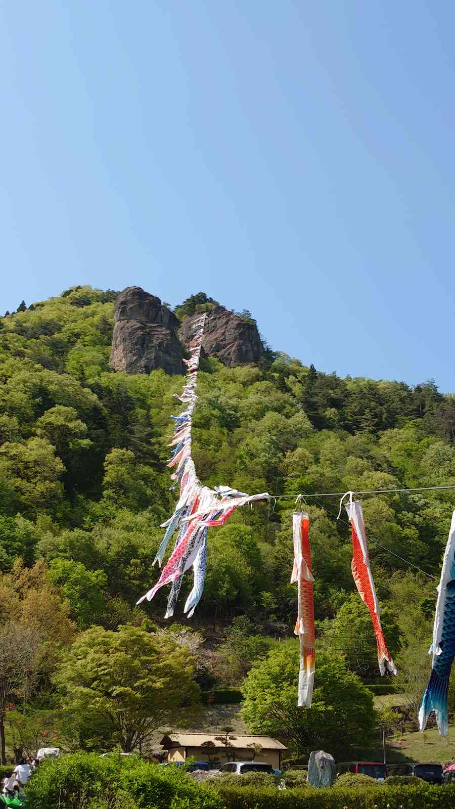 投稿された画像