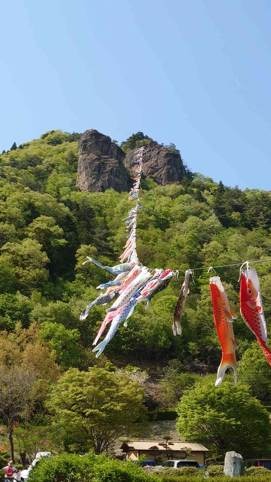投稿された画像