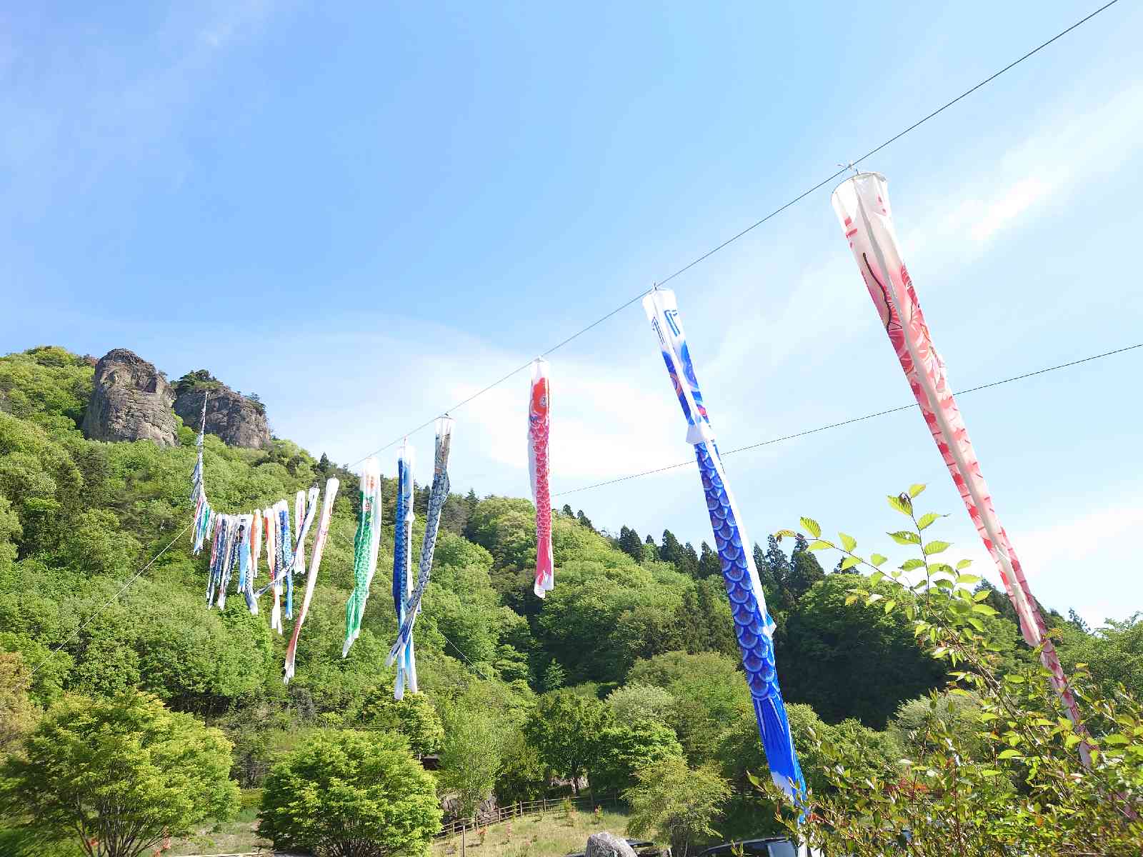 投稿された画像