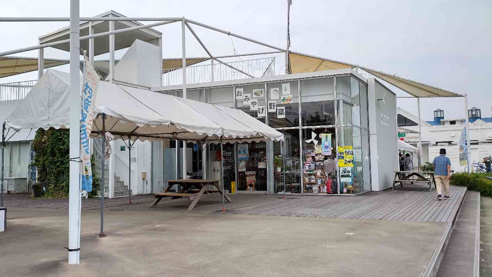 投稿された画像