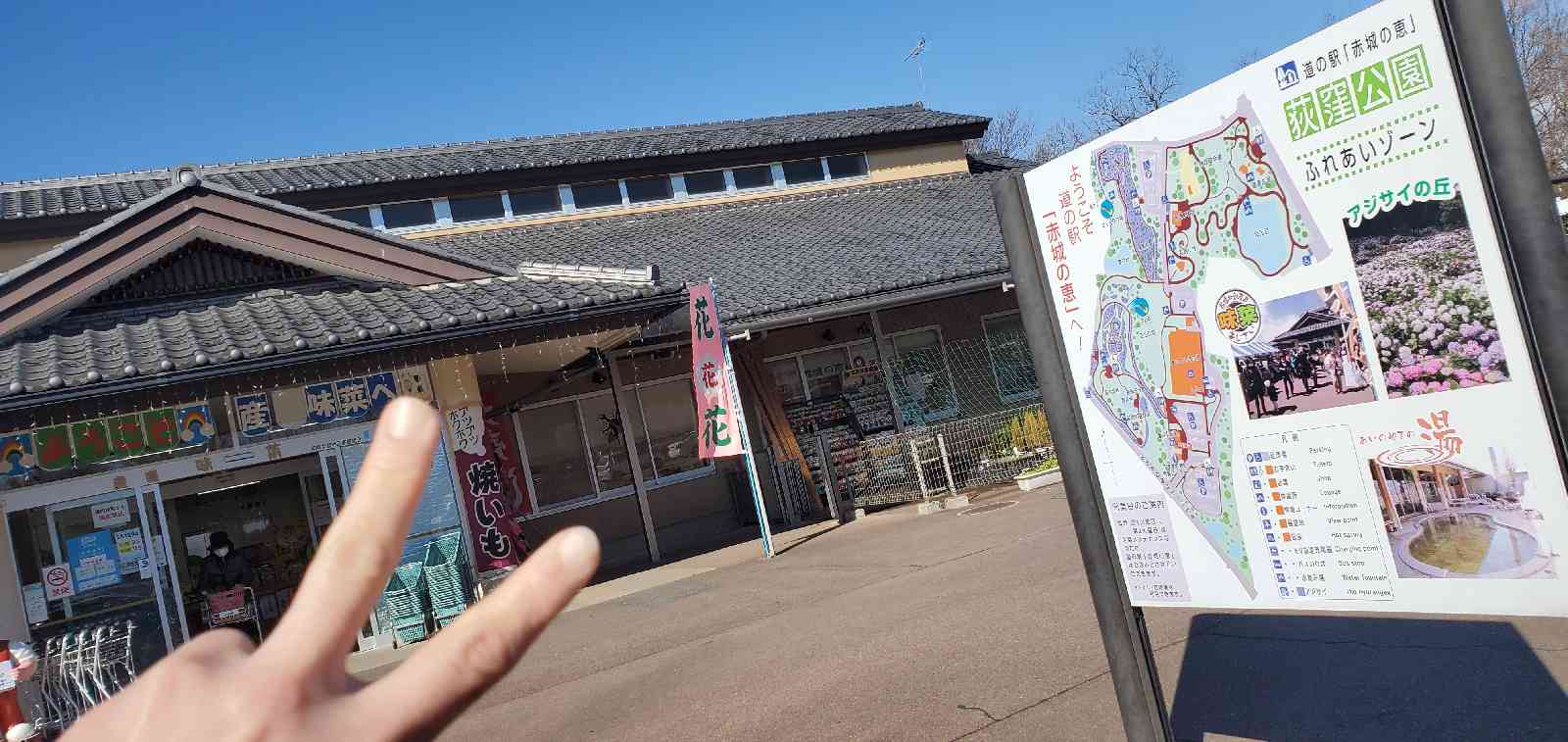 投稿された画像