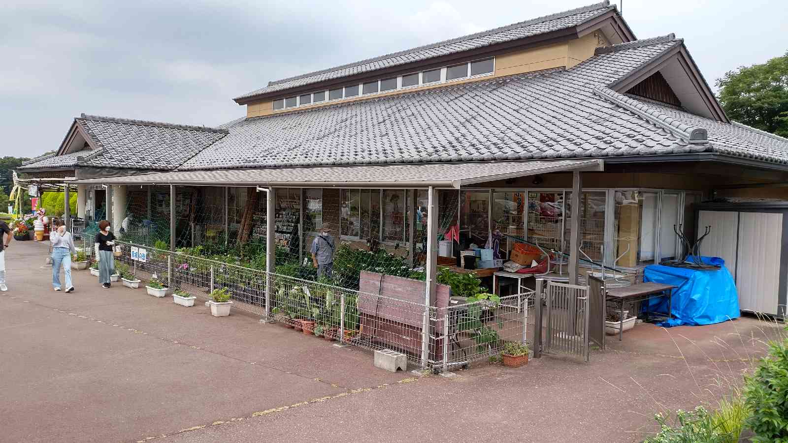 投稿された画像