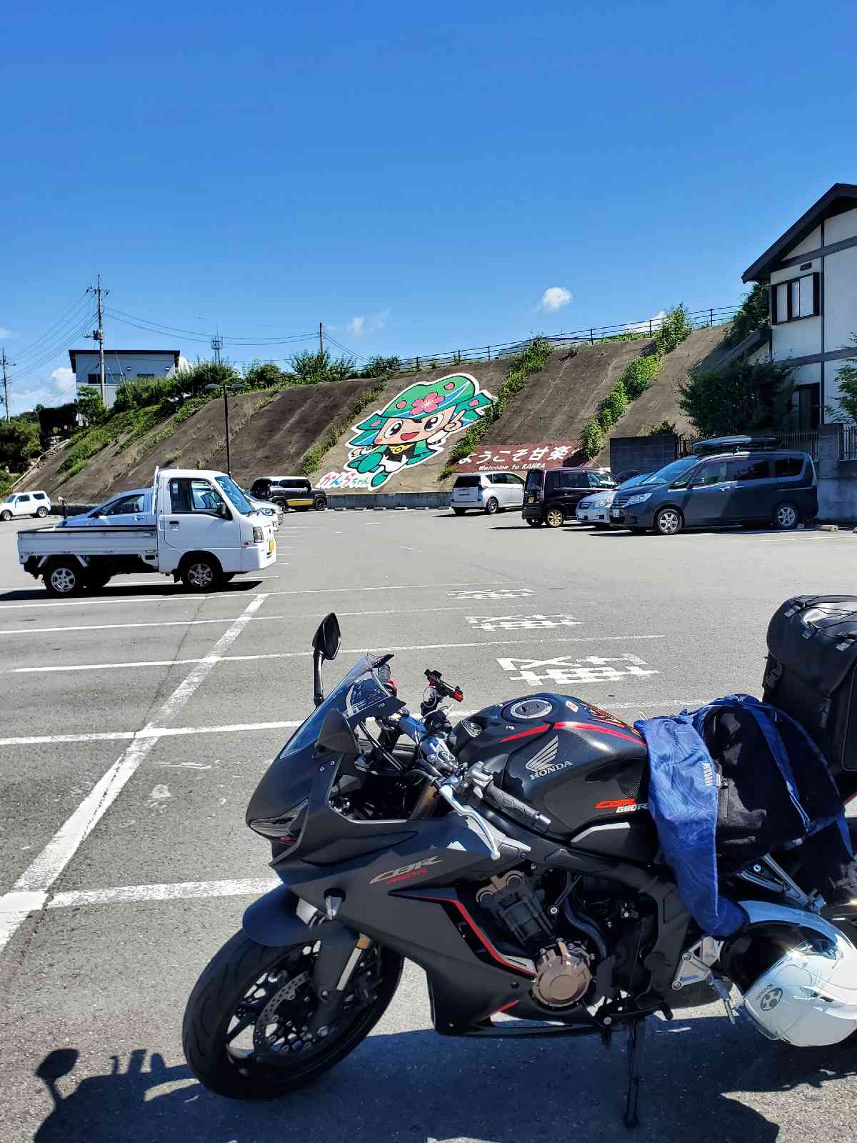 投稿された画像