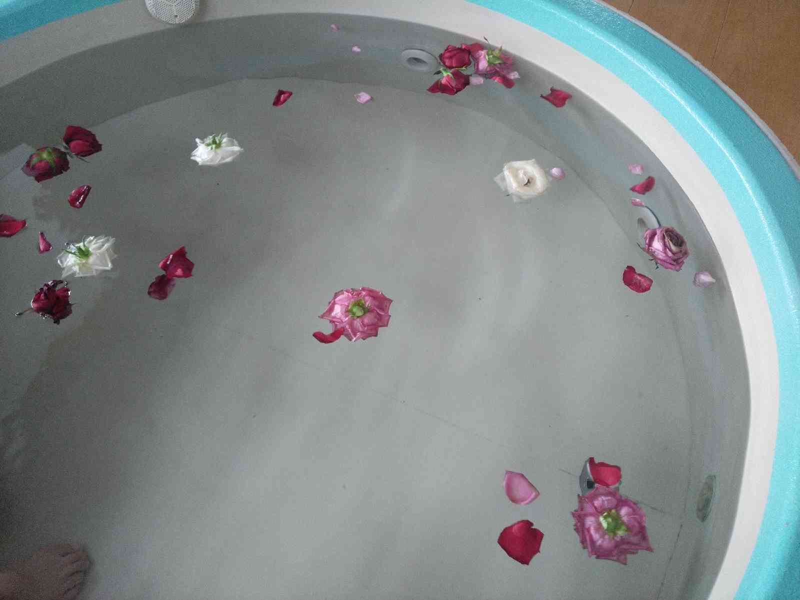 投稿された画像