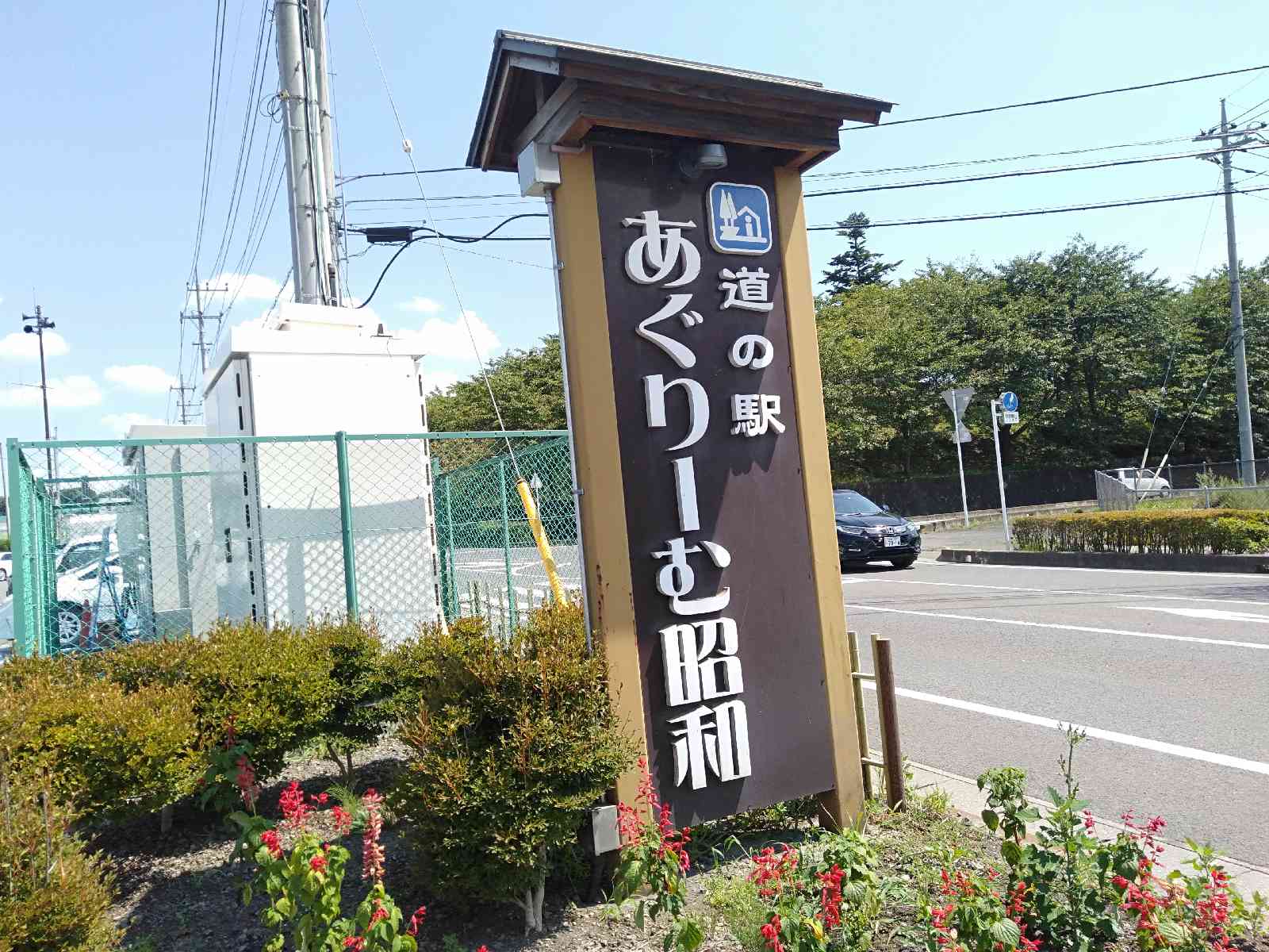 投稿された画像