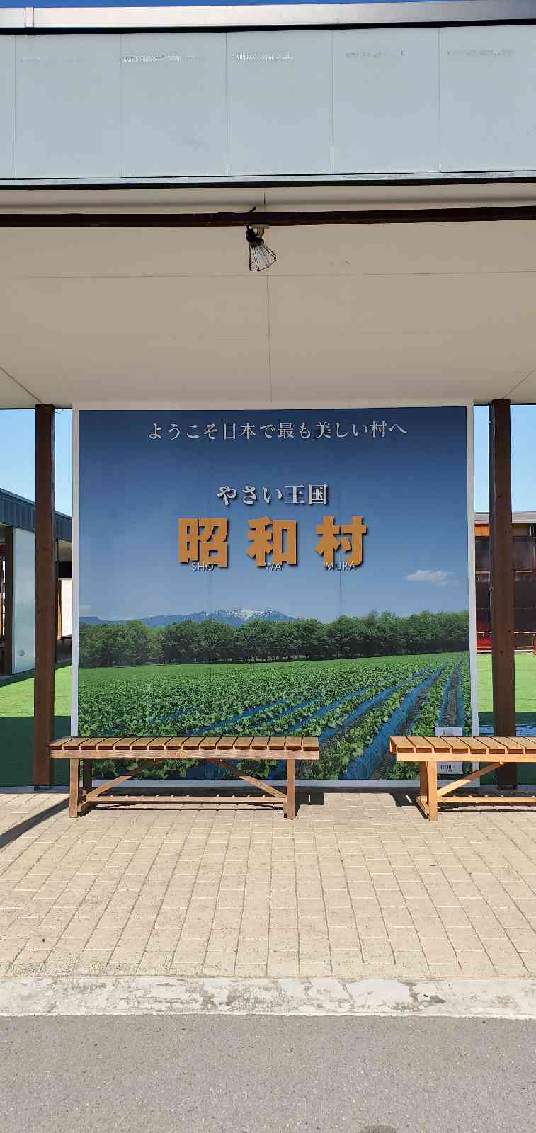 投稿された画像