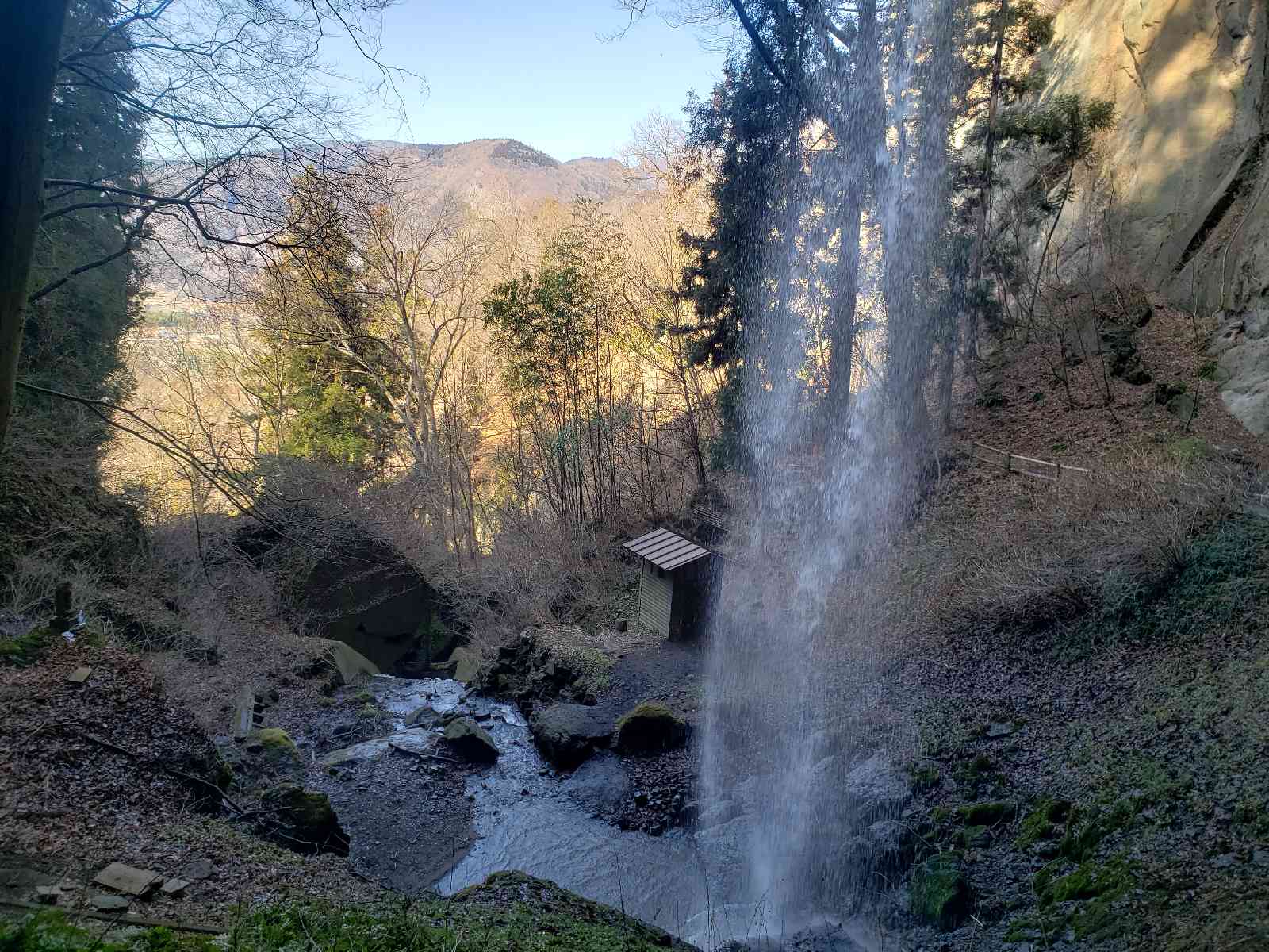 投稿された画像