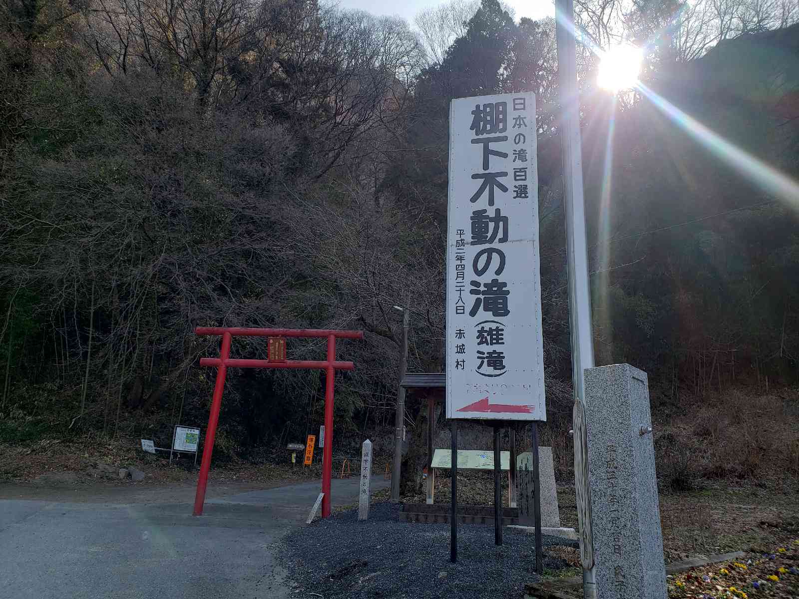 投稿された画像