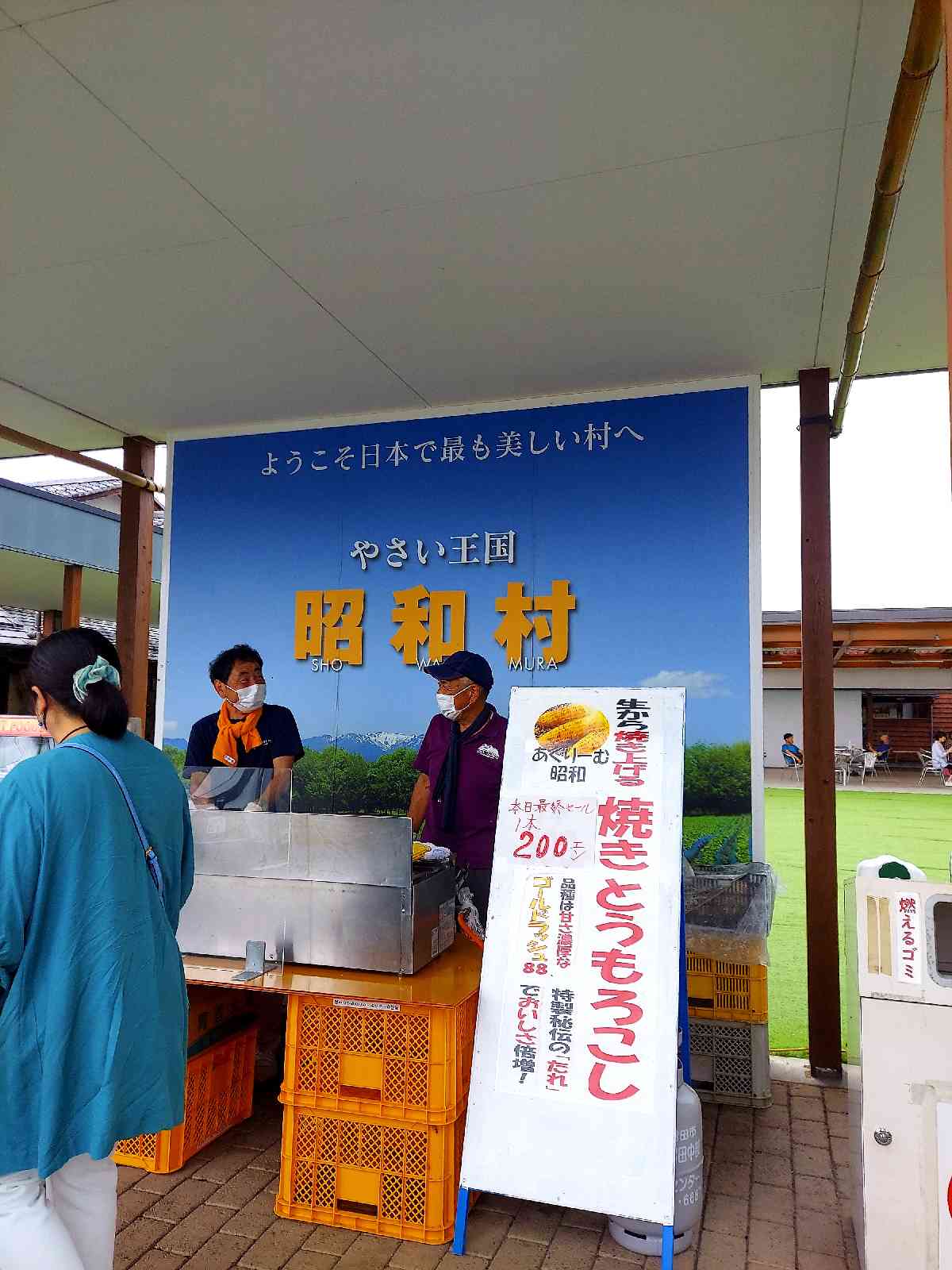 投稿された画像