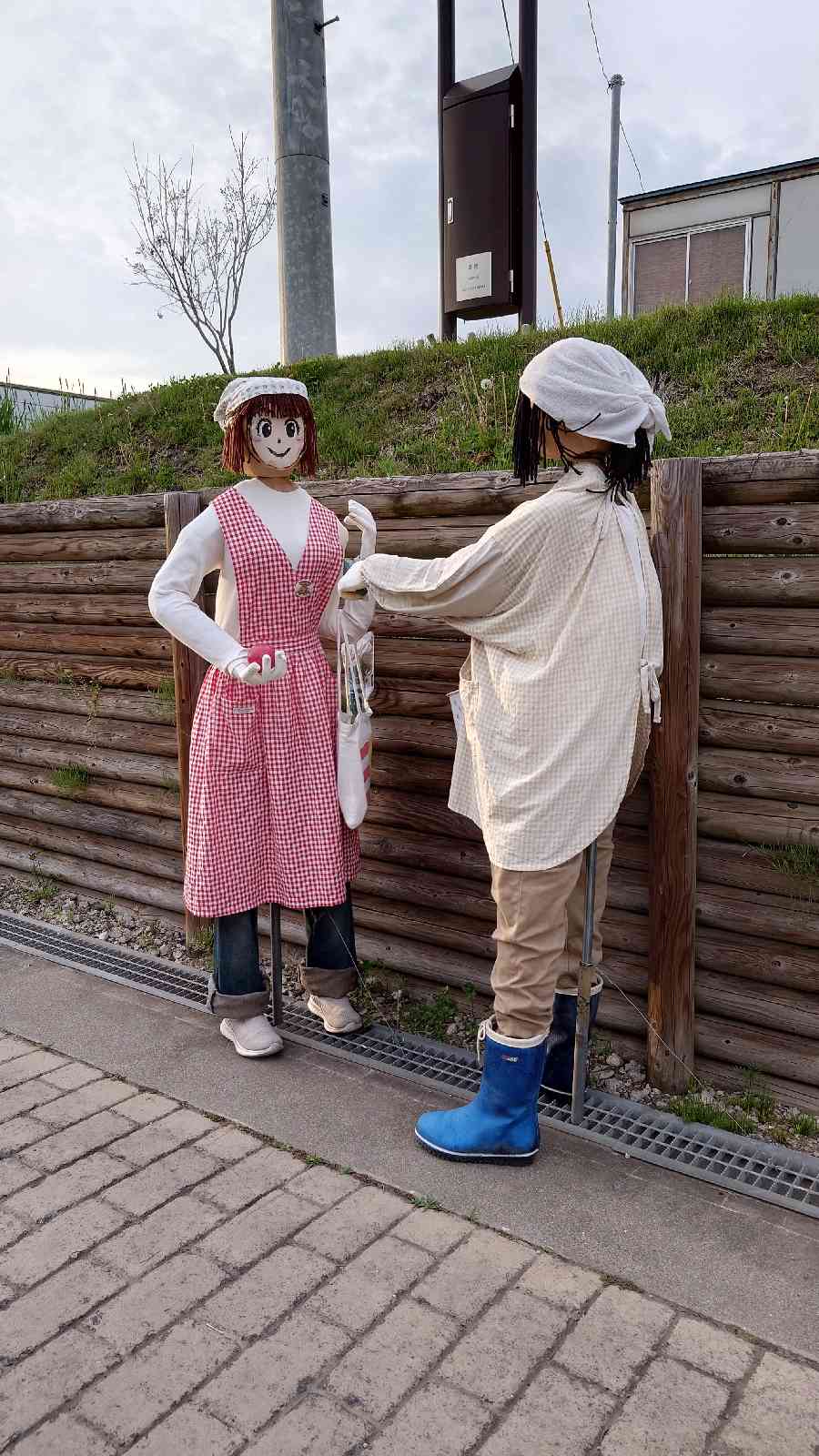 投稿された画像