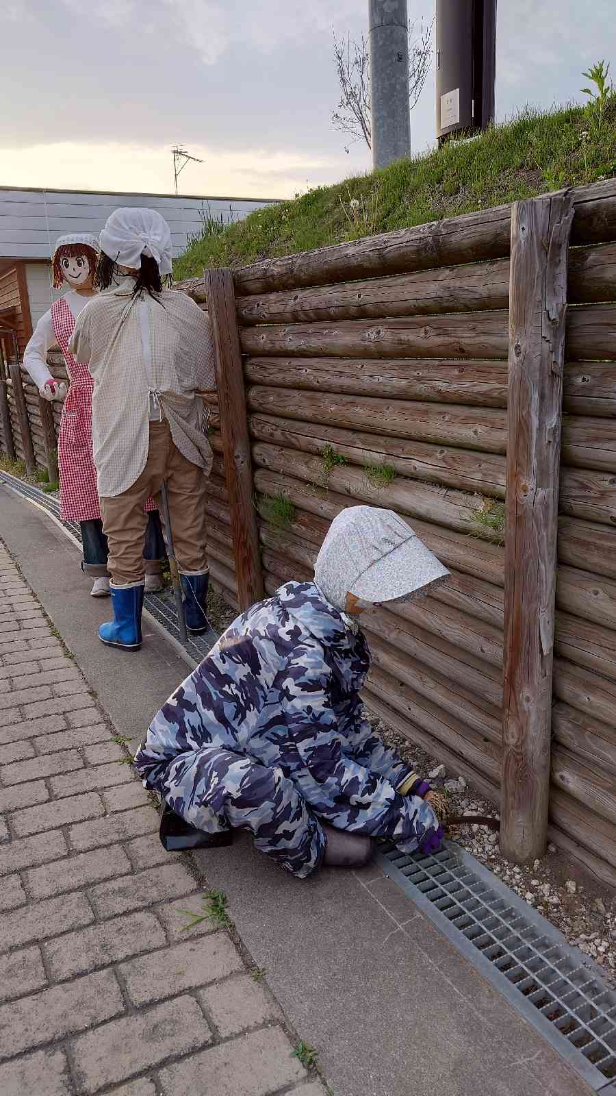 投稿された画像