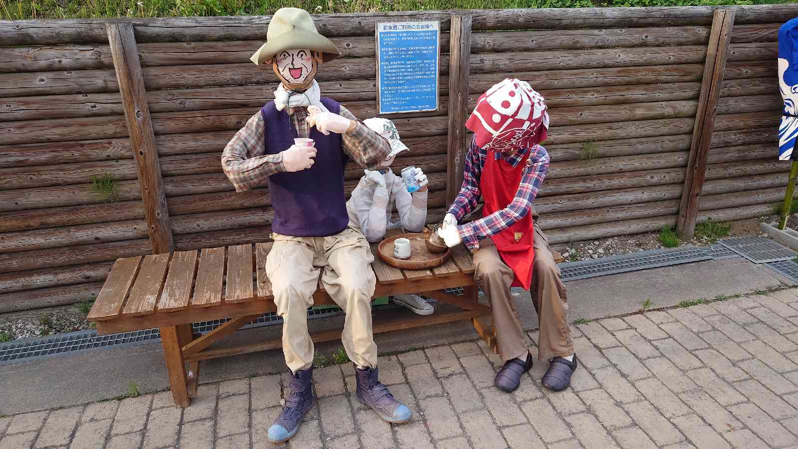 投稿された画像