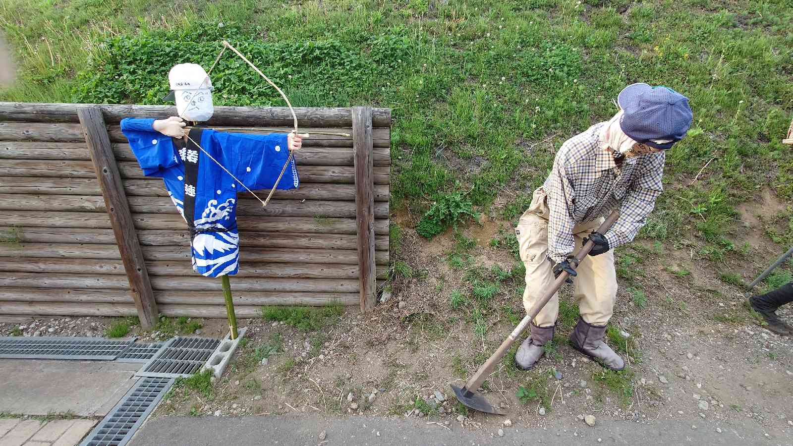 投稿された画像