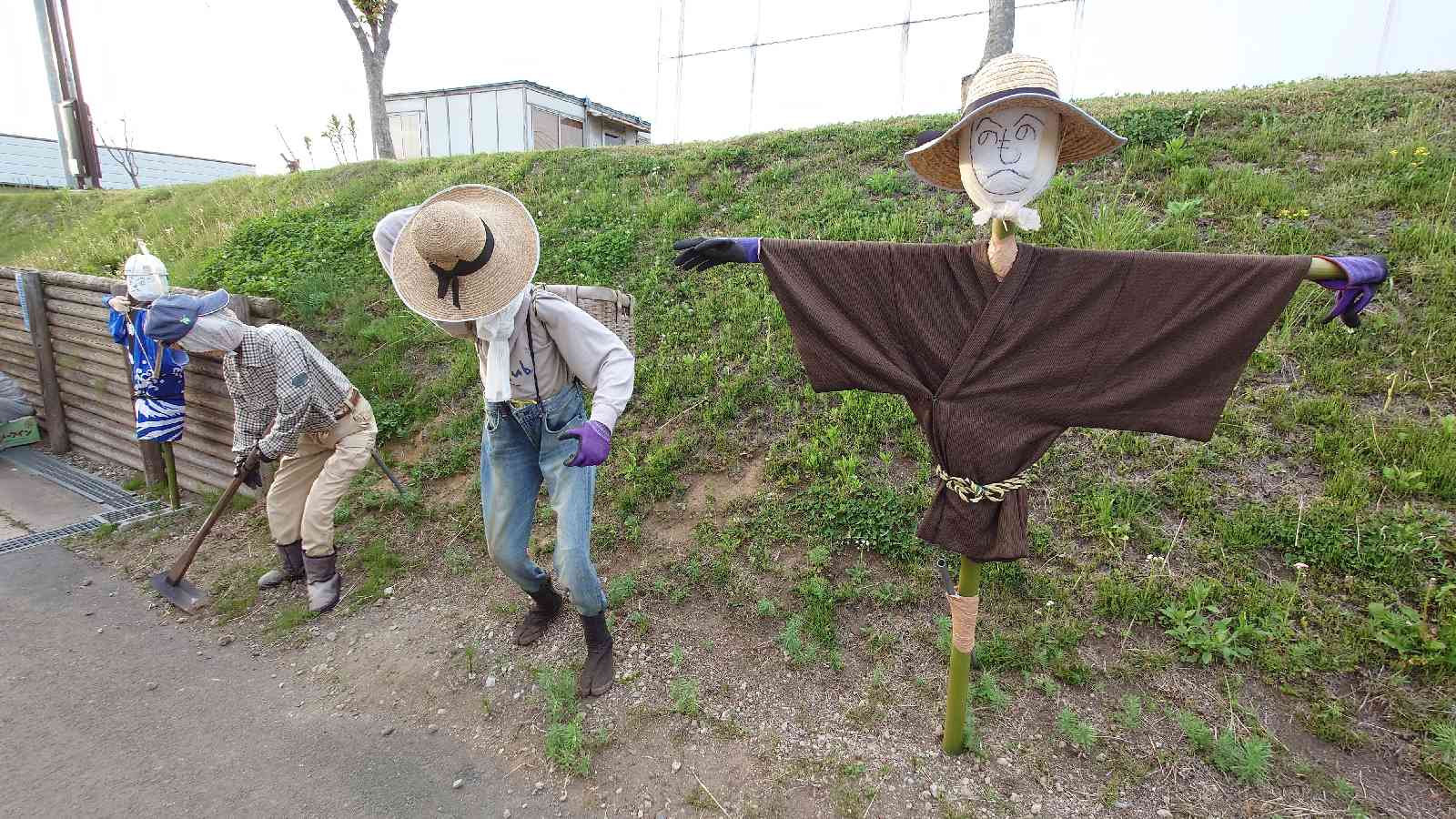 投稿された画像