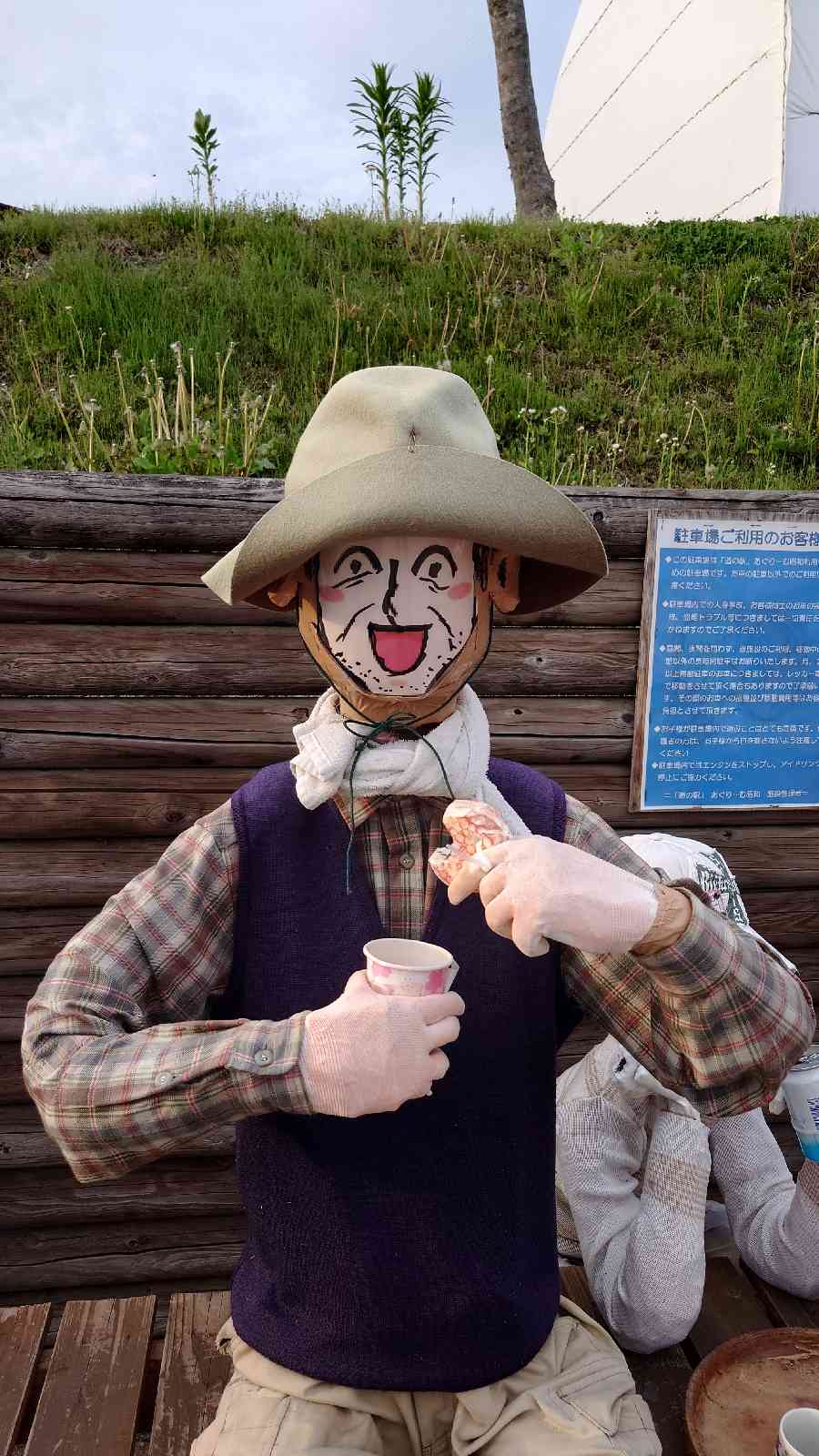 投稿された画像