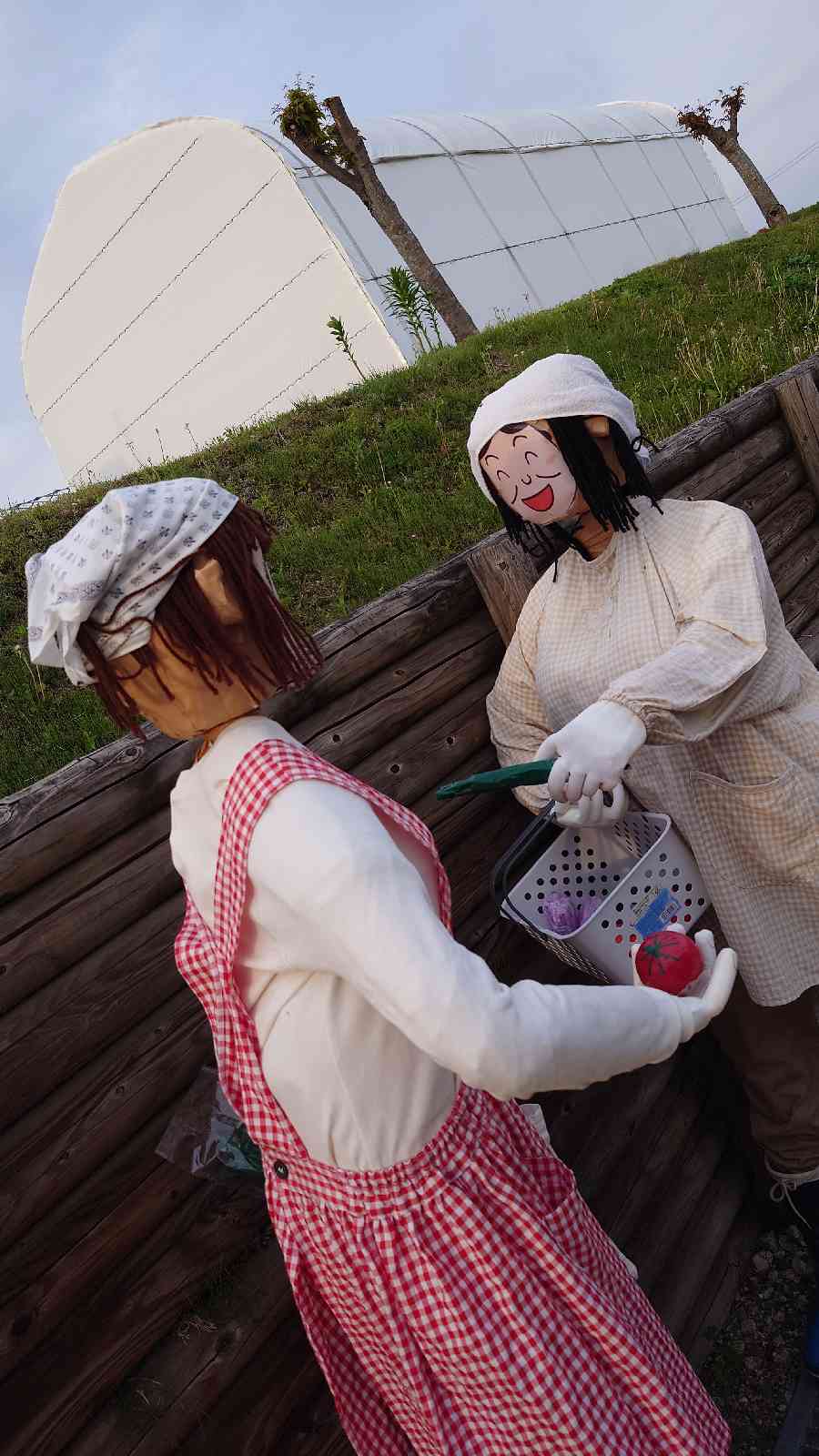 投稿された画像