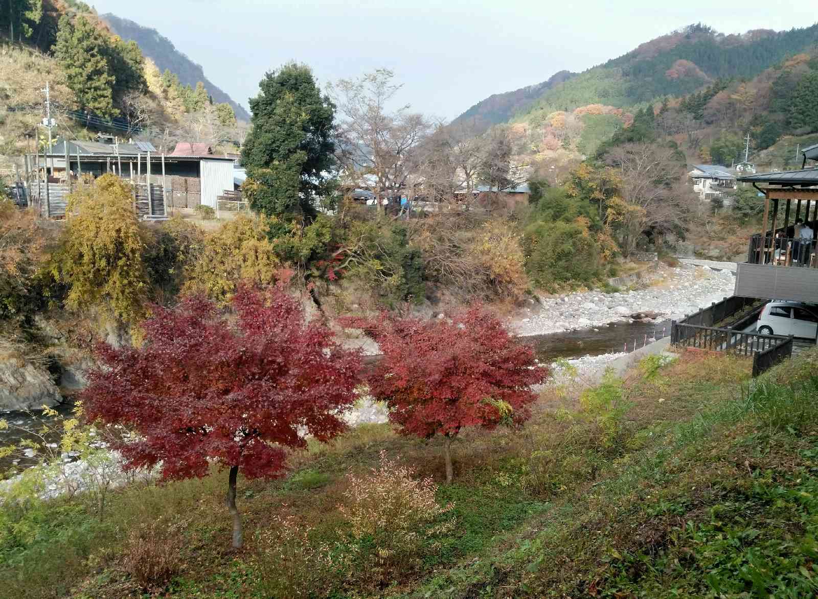 投稿された画像