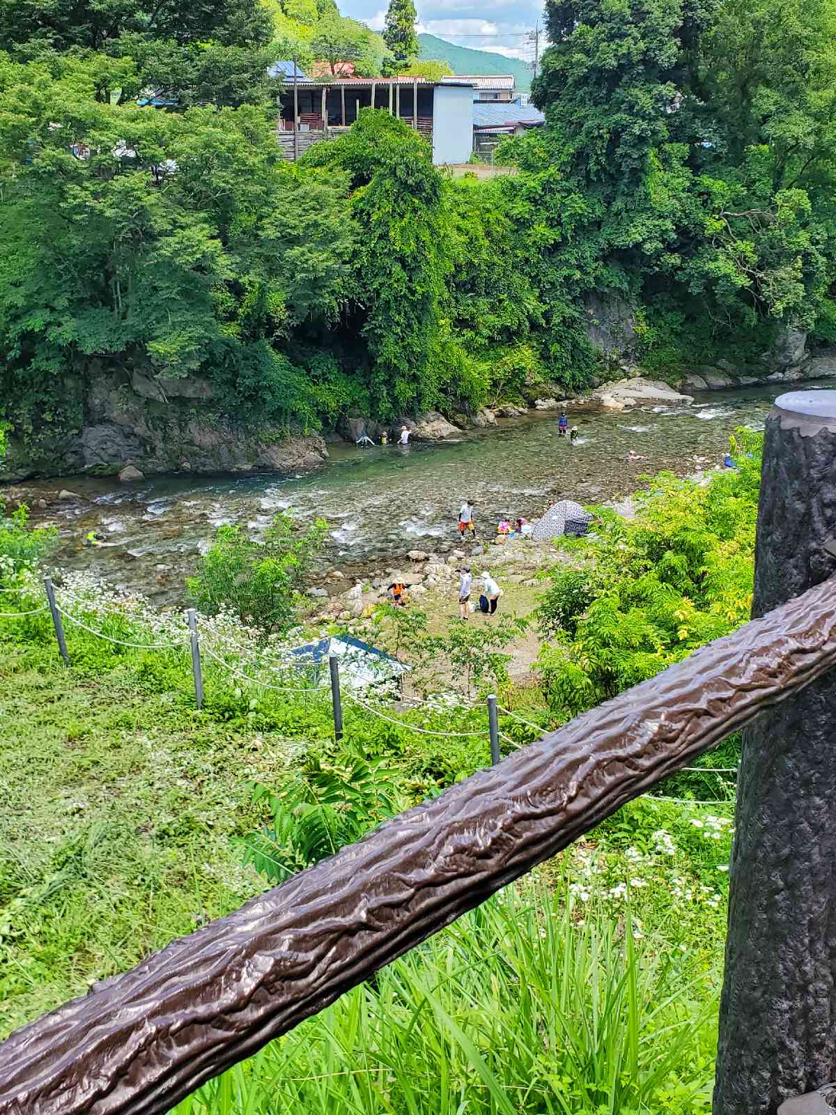 投稿された画像