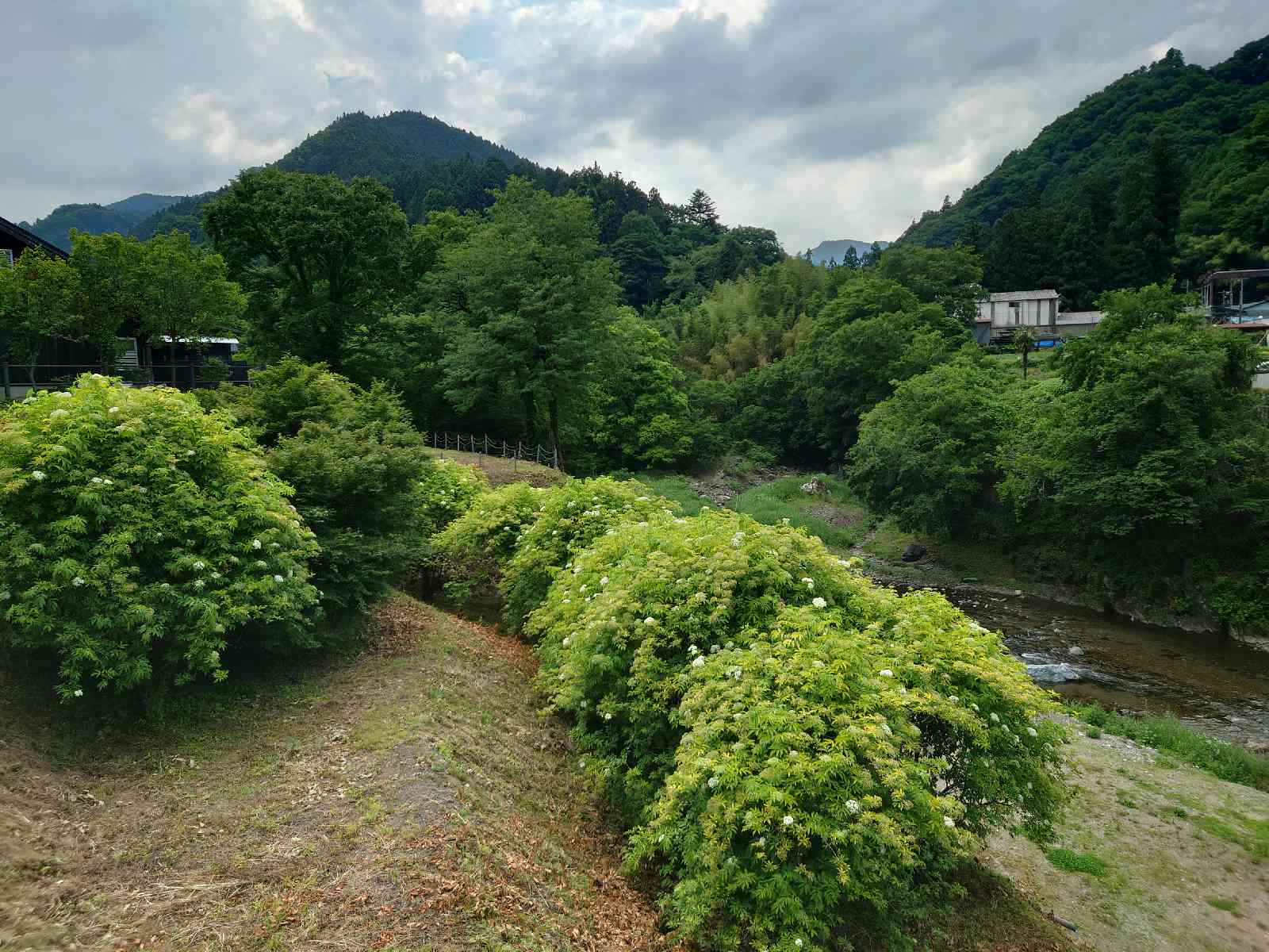 道の駅 オアシスなんもくの写真