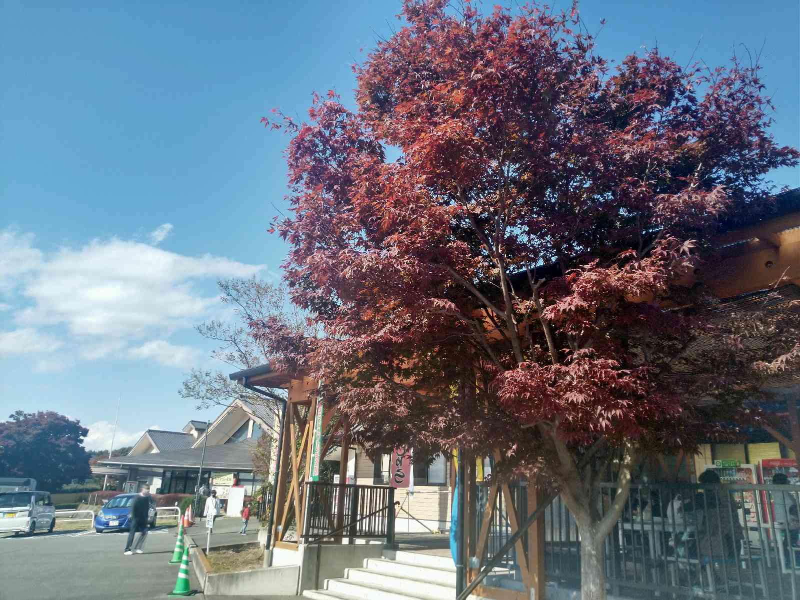 投稿された画像