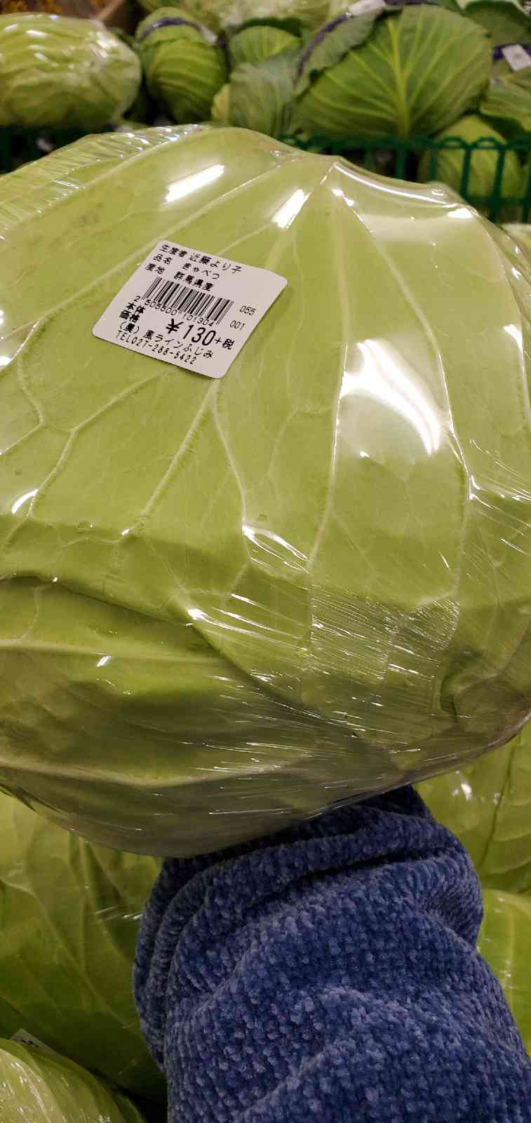 投稿された画像