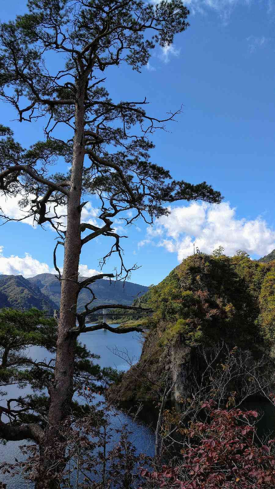 投稿された画像