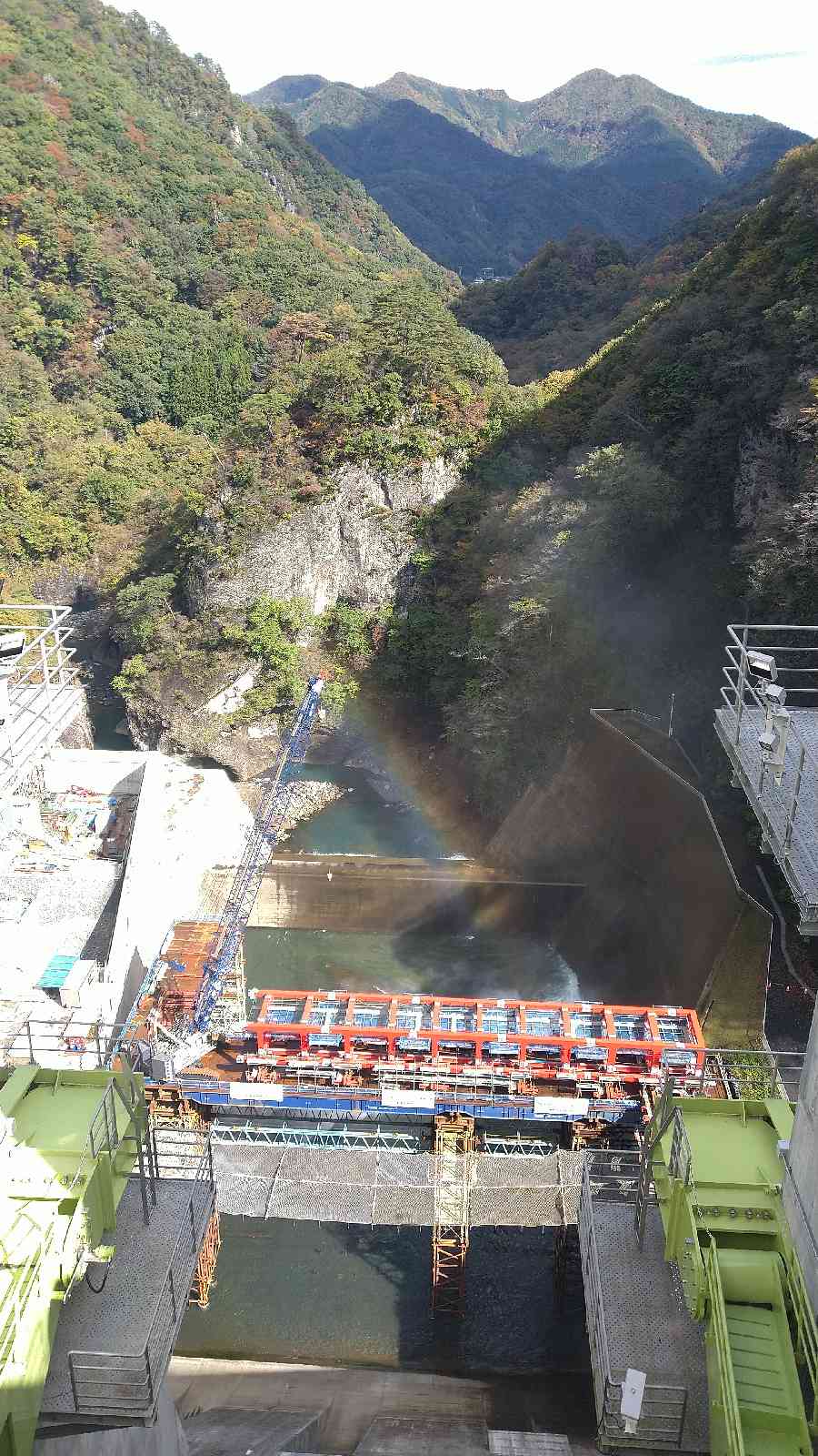 投稿された画像