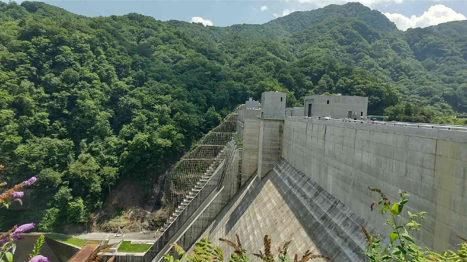 投稿された画像