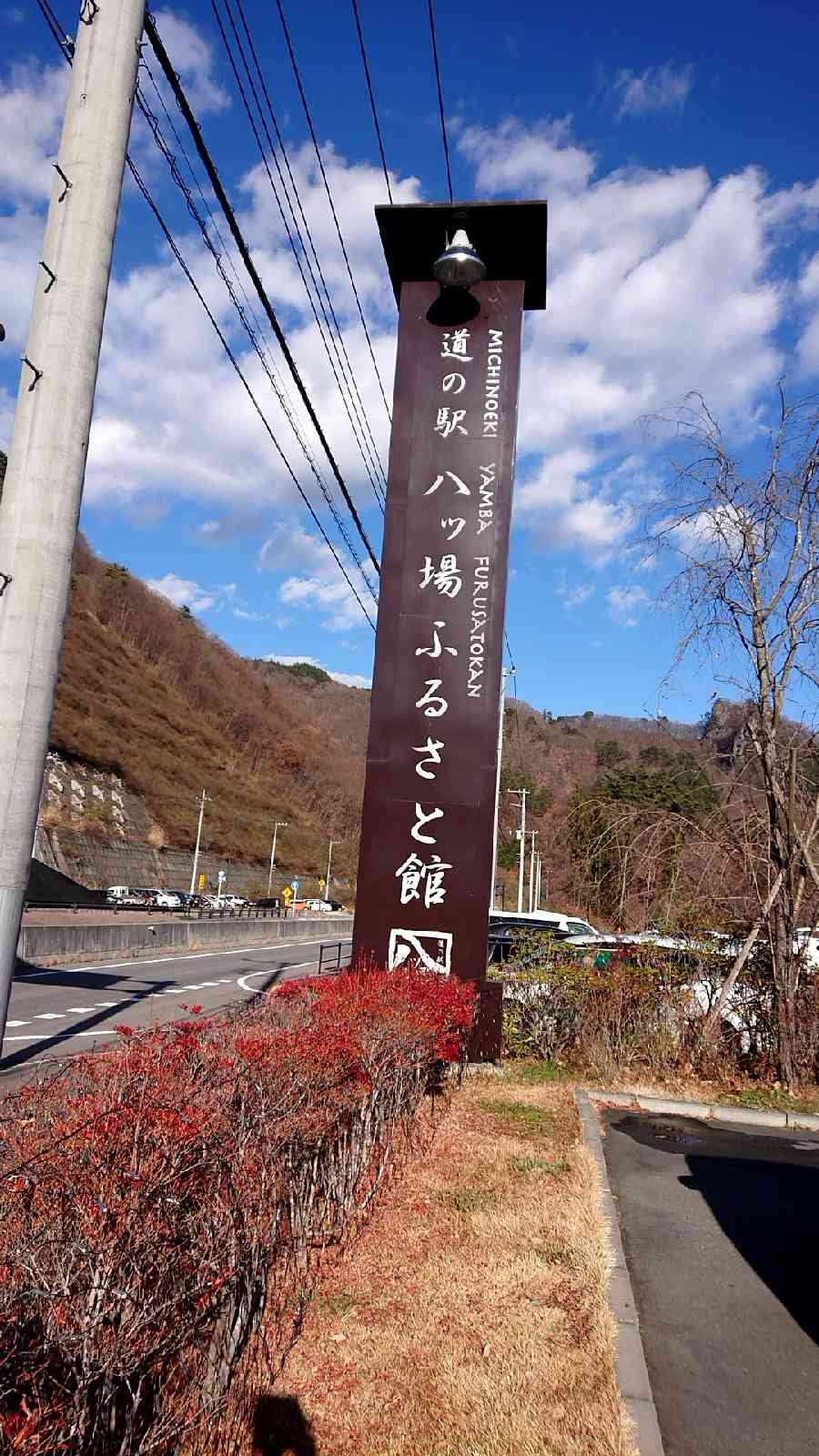 投稿された画像