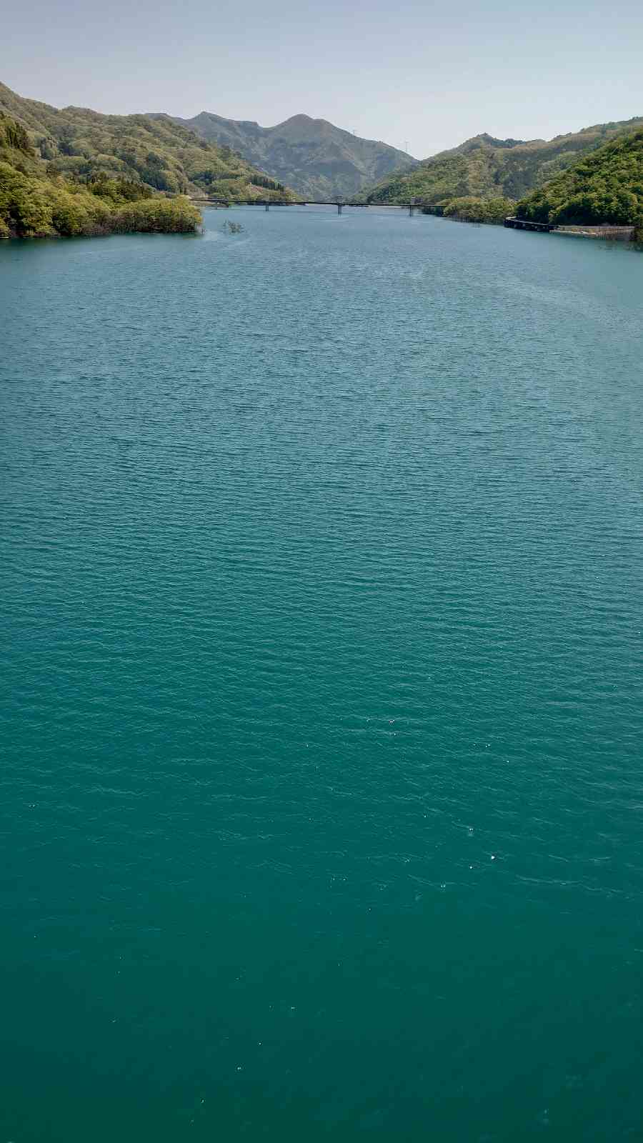 投稿された画像